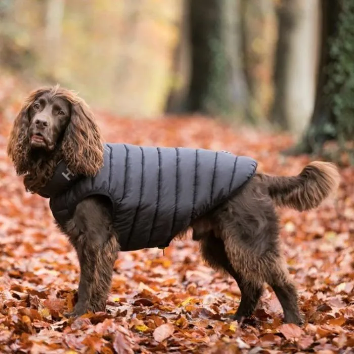 Hugo & Hudson - Reversible Puffer Jacket - Black/Grey