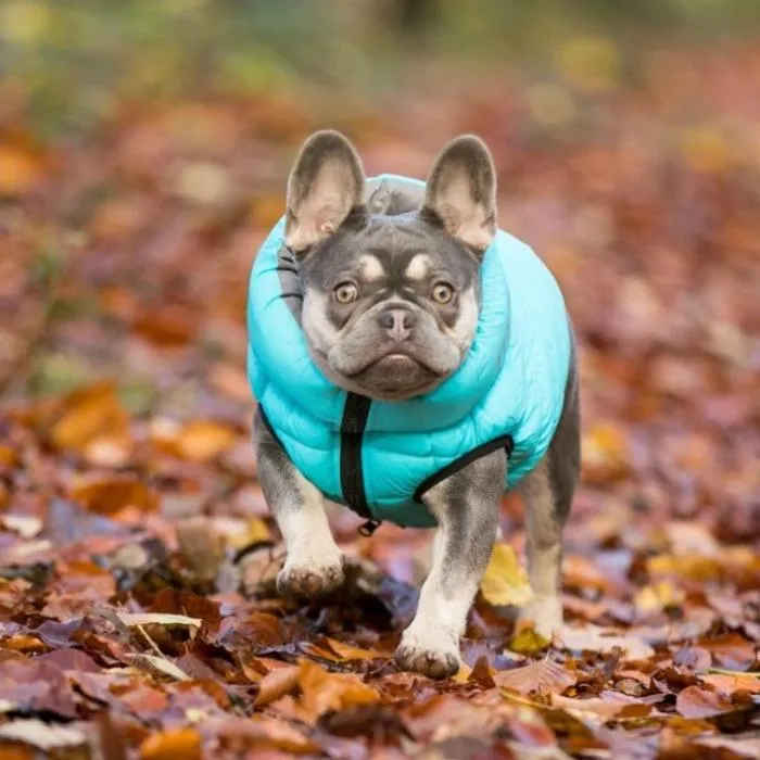 Hugo & Hudson - Reversible Puffer Jacket - Light Blue/Grey