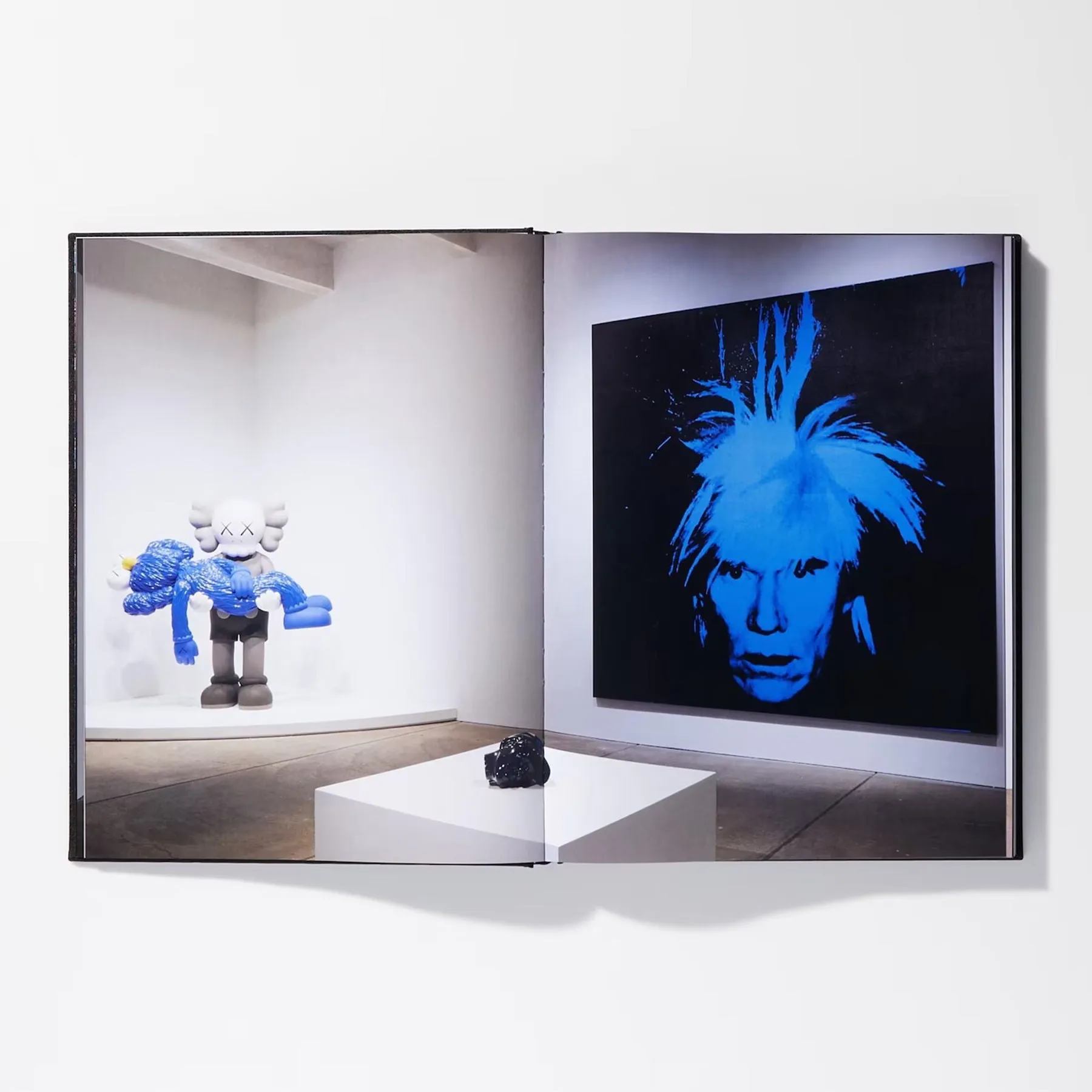 KAWS X Warhol Art Book